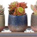 CEEFU 3 Inch Ceramic Succulent Planter Pot Planting Pot Flower Pots Small Planter Pots for Indoor/Outdoor Mini Plant, with Drain Hole and Ceramic Saucer