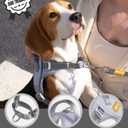 DF No Pull Step-in Martingale Dog Harness, Help Stop Pulling & Choking, Reflective & Adjustable, Front Clip Harness with Lift Handle, Tactical Silent Metal Buckle, Gray, 3/4", Front Chest 13.2"-16.0"