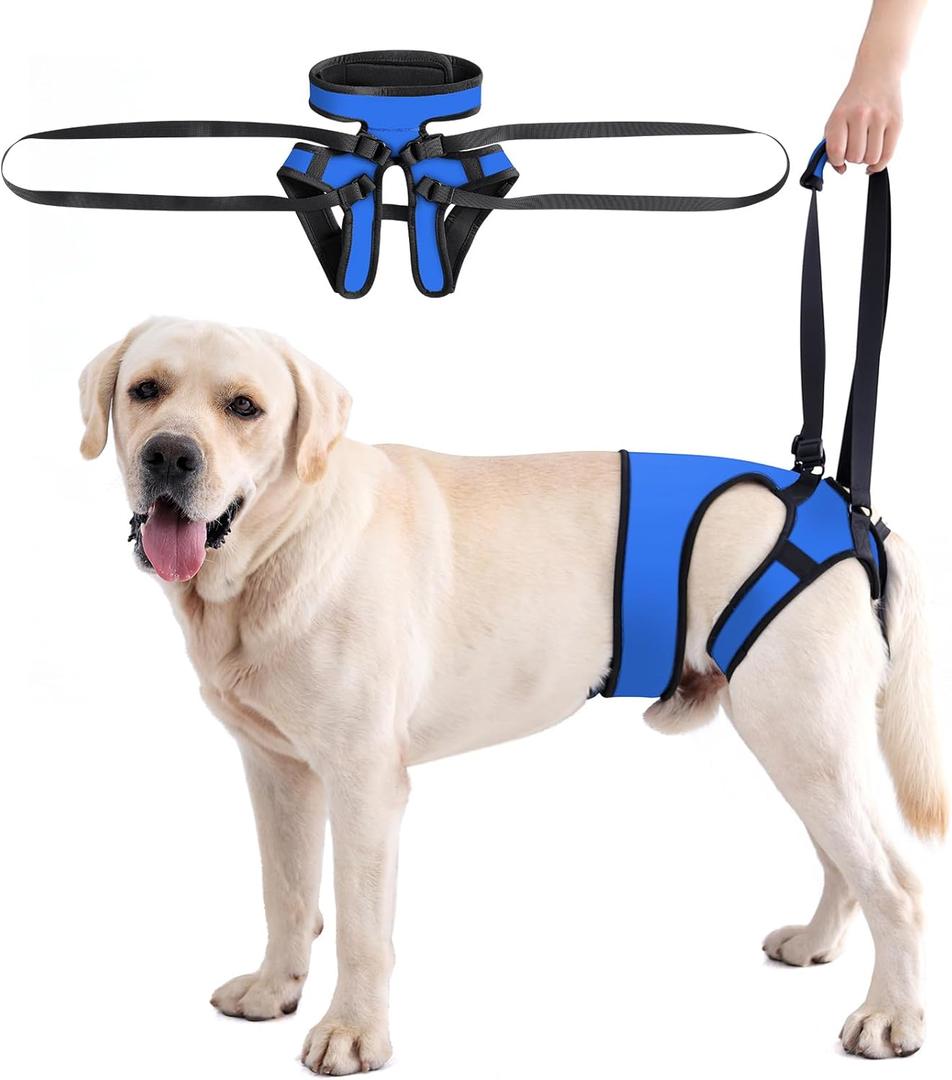 LIANZIMAU Dog Sling for Large Dogs Adjustable Hind Leg Support Lift Harness Senior Canine Mobility Aid Carrier for Back Legs Walking Rehabilitation (XL, Royal Blue)