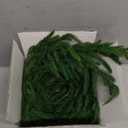 Christmas Garland Decorations Indoor Decor: 6 FT Artificial Realistic Pine Garland Green Faux Greenery Garland for Mantle Staircase Table Wall Outdoor Christmas Decorations