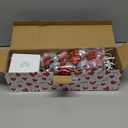 Valentines Day Lighted Birch Tree Decorations, 24 Inch Small Table Top Artificial LED Light Trees Decor with White Branches and Hanging Heart Shaped Ornaments, Timer USB & Battery Operated