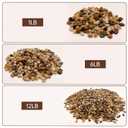 RITOLLO 6 lb Aquarium Gravel, 3/8 in Polished Fish Tank Rocks for Aquarium Decor, River Rocks for Indoor Plants Succulents, Decorative Stones for Outdoor Garden Decor (Mixed Color)