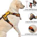 NESTROAD No Pull Dog Harness,Adjustable Oxford Dog Vest Harness with Leash,Reflective No-Choke Pet Harness with Easy Control Soft Handle for Small Medium Dogs(Medium,Orange) (Mneck 13-17" chest 17-25")
