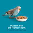 Kaytee Forti-Diet Pro Health Nourish+Protect Parakeet Food, Comprehensive Nutrition Backed by Science, Digestive Health, Immune Support, 2 pounds