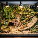 RUNANIA Bearded Dragon Tank Accessories, 10 PCS Reptile Hammock Plants Bridge Jungle Climber Vines for Snakes Bearded Dragon Chameleon Gecko Lizard