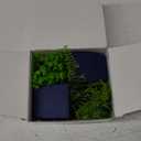 Der Rose 2 Pack Fake Plants Small Artificial Plants in Blue Pots Faux Plants Indoor for Home Room Bathroom Living Room Decor