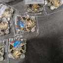 US Navy Chief Anchored Surface Warfare Military Challenge Coin And  USAF Security Forces K9 Air Force Veteran Collectible Military Challenge Coin, 150pcs