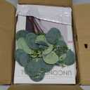 Decorative Books, Set of 2 Elegant Fake Book with Artificial Eucalyptus for Home Decor- Enhance Coffee Table, Bookshelf, Entryway, Mantel Decor-Beautiful Faux Books for Photo Storage, or Keepsake Box