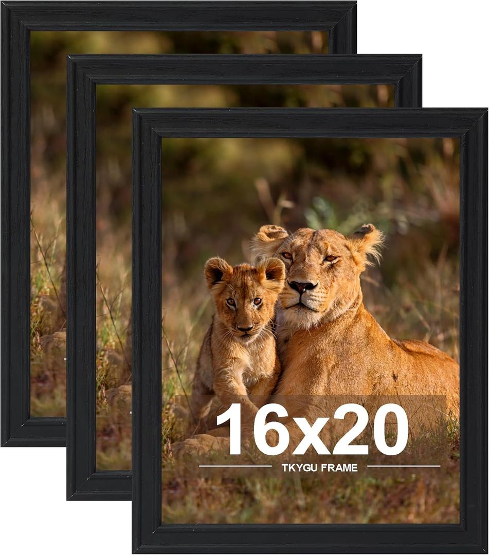 16x20 Poster Frame set of 3, Modern Style Woode Frame Black, Vertical & Horizontal Wall Hanging Large Studio Gallery Picture Frame for Photos, Posters & Art Prints best gift