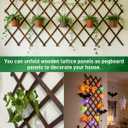 1Pack 47.2Inch Wooden Lattice Wall-Expandable Plant Garden Trellis for Climbing Plants Outdoor, 2 x 10 ft