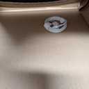 Apple 2021 iPad (10.2-inch, Wi-Fi + Cellular, 256GB) - Space Gray (Renewed)