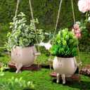 Suclain 2 Pcs Swinging Planter Pots Funny Planters Hanging Cute Planters for Women Gift Indoor Outdoor Resin Smile Faces with Drainage Holes Succulent Pot String of Pearls Plant Flower