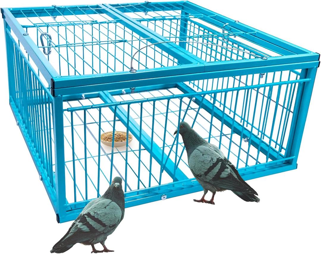 Humane Pigeon Trap Cage - Easy to Use & Effective for Roof, Garden, Yard and Outdoor Bird Control, Size 24"L x 24"W x 8"H