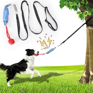 Dog tug of war Toy with Squeak,Interactive Dog Pull Toy from Tree to Keep Them Busy, Multifunctional Combination Tether tug Toy with chew Ball