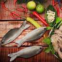 4 Pcs Fake Fish Realistic Toy Artificial Halloween Mode Small Plastic Sea Fish for Party Market Display Kitchen Decoration Photography Props