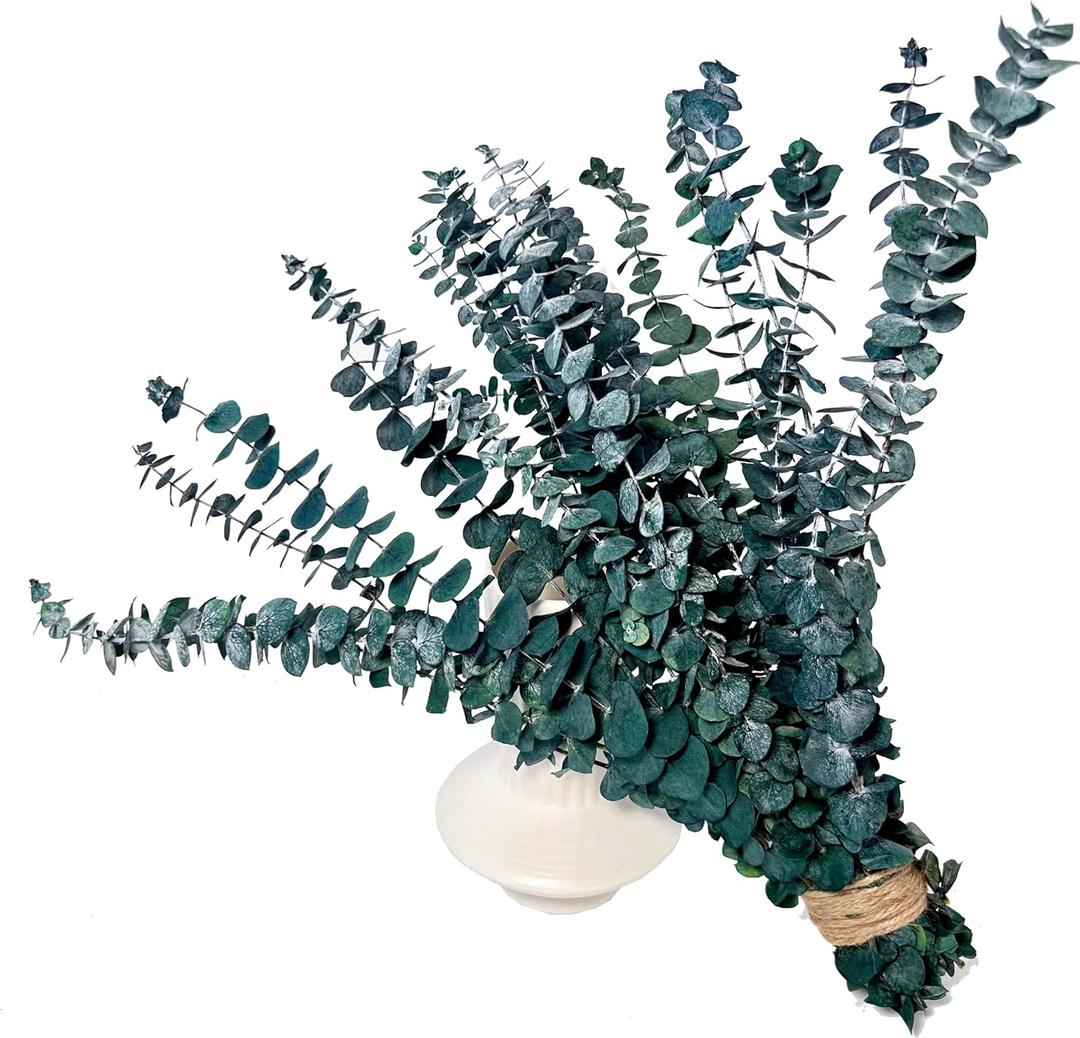 (20Pcs) Dried Eucalyptus Stems - Red, Real Long Eucalyptus, Dried Flowers for Vase, 17" Floral Arrangement, Wedding (Blue)