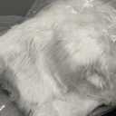 Goolela White Fluffy Fur Rug 4x6 Faux Sheepskin Fuzzy Shag White Rug for Bedroom Living Room Plush Washable Area Rug Rectangle