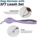 Escape Proof Dog Harness and Leash Set, Lightweight Dog Harness with Lift and Assist Handle, No Pull Reflective Pet Vest for Medium Dogs, Ideal for Puppy Walking and Training (Purple, M)