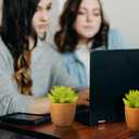 VANGOLD (2-Pack) Bring Nature Indoors Artificial Succulents in Fashionable Golden Flower Pots - Perfect for Home, Office, and Event Decor