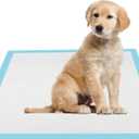 22x22 Dog Pee Pads 40 Count, Charcoal Puppy Training Pads, Super Absorbent 6-Layer Leak-Proof for Dogs, Fast-Drying, Potty and Floor Protection