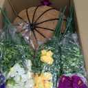 2 Set Artificial Outdoor Flowers with Hanging Baskets,24 Pcs UV Resistant Faux Petunias Flowers with Hanging Planter for Front Door Porch Spring Outside Decor (2, White,Yellow,Purple,RedViolet)