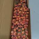 Artificial Berry Stems 30 Pack Fall Floral Picks and Sprays 6.5 Inch Small Orange Berry Branches for Autumn Thanksgiving Harvest Christmas Tree DIY Decorations