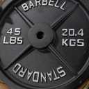 Synergee Standard Metal Weight Plates with 2 Opening for Bodybuilding, Olympic & Power Lifting Workouts. Metal Weight Plates Sold in Singles, Pairs & Sets 45 lbs