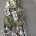 3Pcs Artificial Amaranthus Flower Fake Hanging Green for Wedding Bouquets Home Decor Arrangement Photo Props Party Decoration 37''(White)