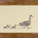 Duck Family Wall Art 19"×14"