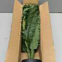 Nearly Natural 5 ft UV-Resistant Artificial Grass Plant