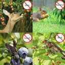 6-Pack 3.3ft x 2.3ft Drawstring Fruit Protection Bags and Garden Netting Covers, Ideal for Tomato Barrier, Vegetable and Flower Plants