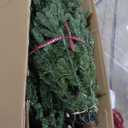 Balsam Hill 7.5ft Pre-Lit Classic Blue Spruce - Artificial Christmas Tree with 2,960+ Tips, 1,000 Clear LED Lights, Easy Plug Technology & Premium Stand for Indoor Holiday Decorating