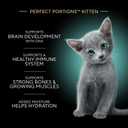 Sheba Perfect Portions Kitten Wet Cat Food Pate Chicken Entree, Salmon Entree, and Turkey Entree, 2.6 oz. Twin-Pack Trays (24 Count, 48 Servings) (EXP 04/01/28)