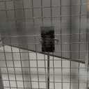 4 Packs Humane Rat Trap Outdoor, Wanqueen Humane Mouse Traps Indoor, Small Rodent Chipmunk Squirrel Trap and Other Live Animal Cage Catch and Release