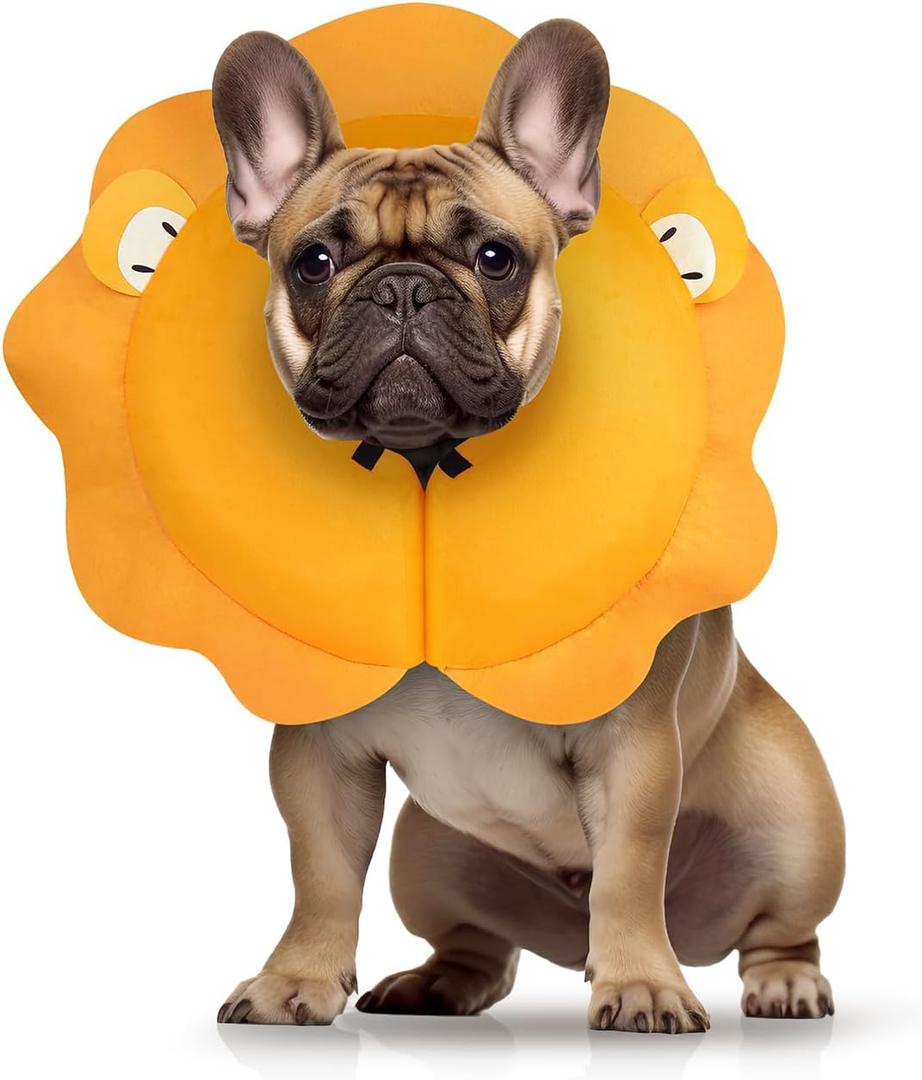 MIDOG Dog Cone Collar for Large Medium Dogs (Lion,M+)