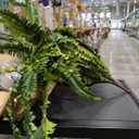 Artificial Ferns for Outdoors, 68" Fake Fern Artificial Plants Large, UV Resistant Faux Boston Fern Suitable for Porch Planters Home Indoors Entrance Patio Garden Porch (1 Stem) (Dark Green)