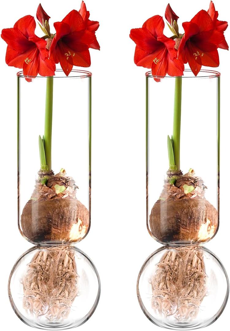 2 Pcs Glass Bulb Vase 11 Inches Tall Flower No Messy Soil Bulb Forcing Bud Clear Tall Glass Vases for Small Plant Table Centerpieces Wedding Birthday Party Decorative Supplies