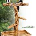 PENN-PLAX Bird-Life Natural Wood Tree Perch for Large Birds and Parrots – Includes Food and Water Bowls and Drop Tray – Large