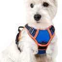 rabbitgoo Dog Harness No Pull with 2 Leash Clips, Adjustable Soft Padded, Reflective Oxford No Choke Pet Vest with Easy Control Handle for Puppy, Blue & Orange, XS