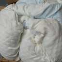 EDILLY 3 Inch Cooling Gel Memory Foam Mattress Topper King Size,with Removable & Washable Bamboo Cover,Soft Breathable Mattress Pad,Bed Topper for Back Pain Relief (76x80) (White)