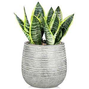 DILATATA Ceramic Pots with Drainage Hole 6.7 Inch Flower Plant Pot Indoor Round Planter Pot for Succulents, Cacti, Cactus, Snake Plants Home Decor - Silver