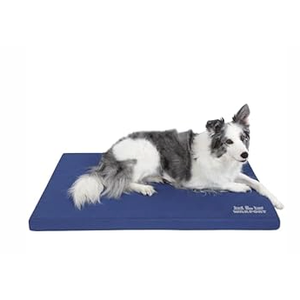 Warfort Durable Outdoor Dog Bed Stable Crate Mat Indoor cat Bed Anti Mild Bite Kennel Pad with Removable Fully Waterproof Cover (Blue, Medium(30x19x1.5in))