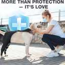Dog Hind Leg Sleeve to Stop Licking  Breathable Rear Leg Brace with Back Buckle for Wound Protection, Reflective Recovery Sleeve, Cone Alternative  Size XS (Black, XS)