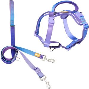 DF Freedom No Pull Martingale Dog Harness and Leash Set, Front Clip Adjustable Harness with Reflective & Padded Handle, Easy Walking & Training, Rainbow, 1", Chest 24.4" - 32.4"