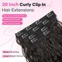 Curly Clip In Hair Extensions, 4PCS 20 Inch Dark Brown Extensions Clip Ins, Lace Weft Short Curly Invisible Natural Hairpieces for Women