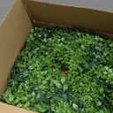 26 Inch Large Boxwoods Wreaths for Front Door Artificial Green Leaves Greenery Indoor Outdoor Wreath Home Decor Porch Window Wall Farmhouse Door Decorations Spring Summer Fall All Seasons