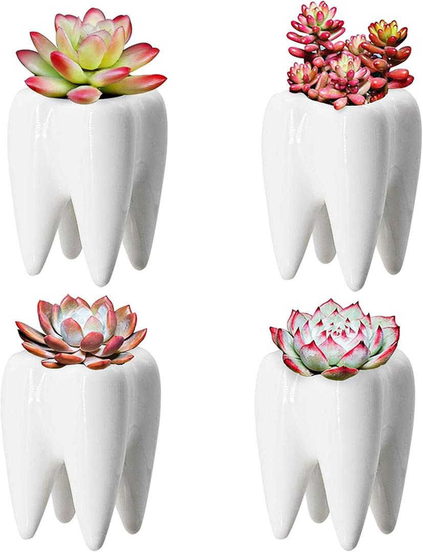 YOFIT Modern Style Teeth Pots Ceramic Flower Pot for Dental Gifts, White Succulent Cactus Bonsai Planter Container for Dental Office Decor, 3.7" Set of 4