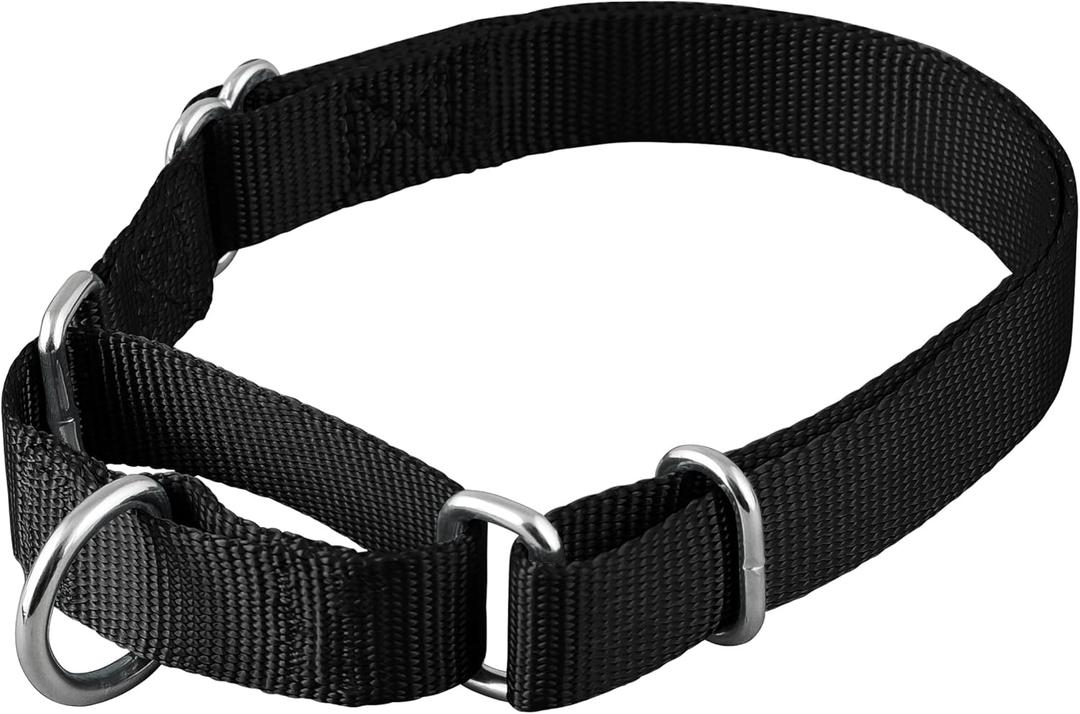Native Pup Martingale Dog Collar, Adjustable for Small, Medium, Large pet and Puppies Accessories, Cute Colors for Male, Female, Boy, Girl, Puppy (Medium, Black)