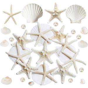 JQAQJU 16PCS Starfish and Scallop Shells for Crafts 3"-4" with Pearls, Natural Sea Shells for Crafting Beach Party Christmas Decor DIY