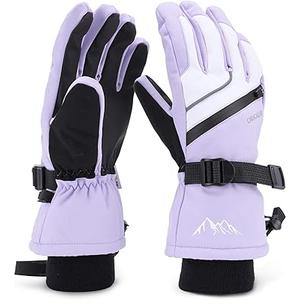 Ski Gloves for Men Women - Winter Snow Windproof & Waterproof Thinsulate Warm Sports Gloves With Pocket for Cold Weather Skiing Snowboarding Snowmobile - Adult Youth Purple L